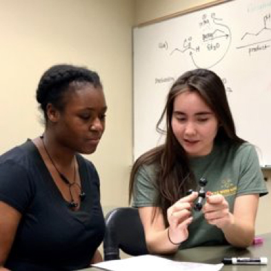 Spring 2019 CHE 3332 Grad Teaching Assistants
